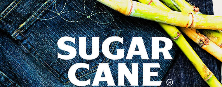 sugarcane image