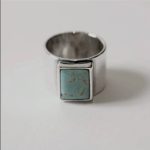 North Works (BR8399) Turquoise Silver Stamp Ring