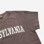 Barns Outfitters (BR24318) PENNSYLVANIA Tube Tee - Burgundy - Image 6