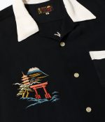 Tailor Toyo Lot TT39699 / Suka Shirt JAPAN MAP - Image 5